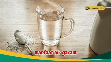 Gusi Bengkak Intip 4 Manfaat Kumur Dengan Air Garam Salah Satunya