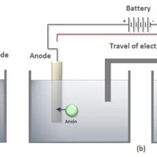 Scheme electrolytic cell. a) Anode and cathode sharing electrolyte. b ...