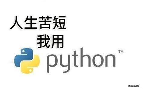 几个小例子告诉你 一行python代码能干哪些事 阿里云开发者社区