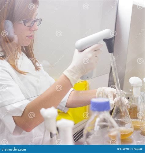 Life Scientist Researching In The Laboratory Stock Image Image Of