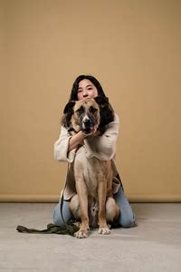 English Mastiff Training Tips - Dog Training Tips and Tricks