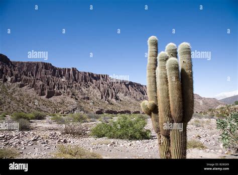 Jujuy Province, Argentina Stock Photo - Alamy