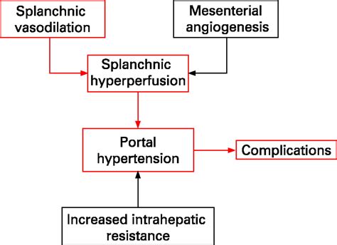 Portal Hypertension Pathophysiology