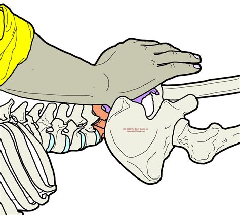 Pain Along One Side of the Sacrum | Integrative Works