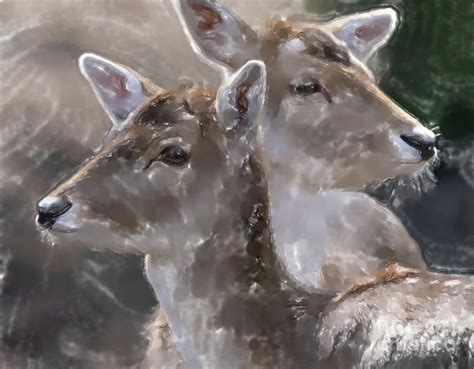 Two Fallow Deer Cows Digital Art By Frank Heinz Fine Art America