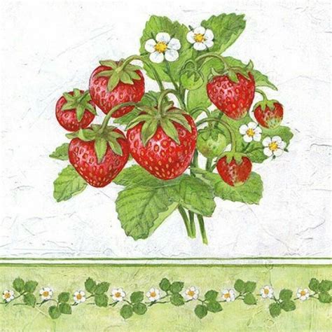 Servietten Season Fruit X St Ck Ebay Dekorpapier