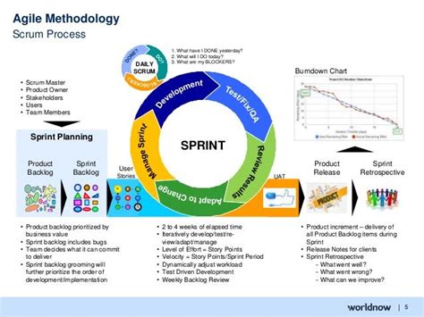 Agile Methodology | Agile, Agile project management, Scrum