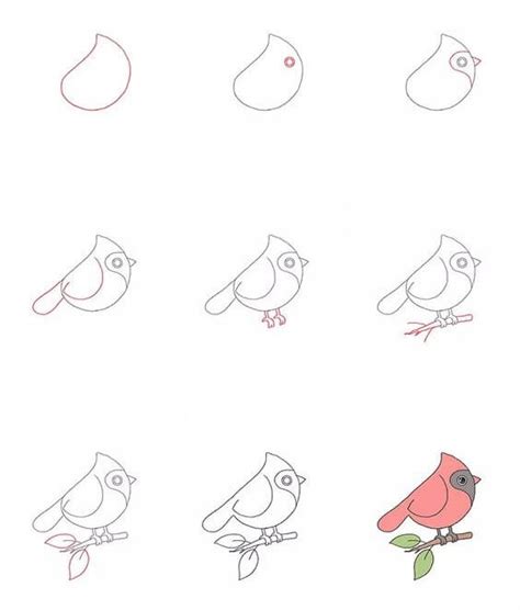 Comment dessiner Oiseau mignon - Dessin Facile