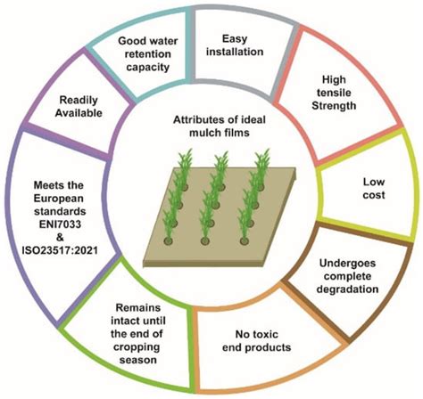 Polymers Free Full Text Polymers Use As Mulch Films In Agriculture