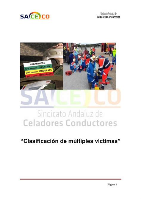 PDF Clasificación de múltiples víctimas PDFSLIDE NET