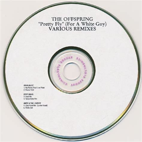 The Offspring - Pretty Fly (For A White Guy) (Various Remixes) (CDr) | Discogs