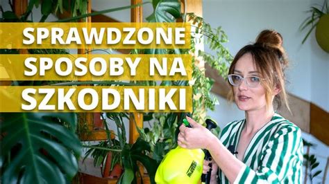 SZKODNIKI Zwalczanie Krok Po Kroku Sprawdzone Skuteczne Sposoby Na