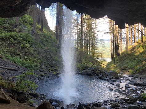 Photos of Horsetail Falls and Ponytail Falls - Oregon | AllTrails