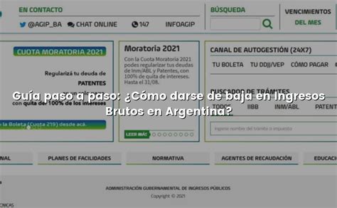 Guía paso a paso Cómo darse de baja en Ingresos Brutos en Argentina