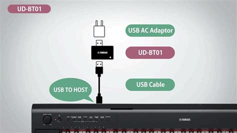 UD BT01 Overview Keyboard Stands And Benches Pianos Musical