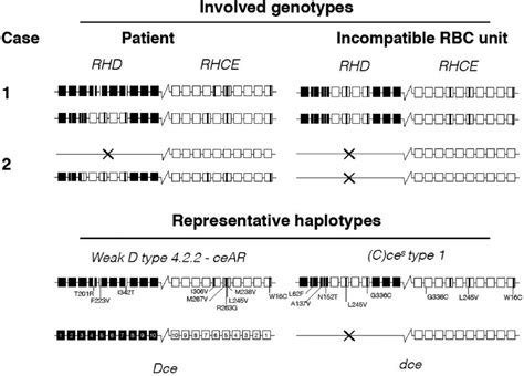 Red Cell Genotyping Precision Medicine A Conference Summary Gregory