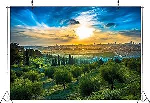 Amazon BELECO 10x6 5ft Fabric Sunset View Of Old City Jerusalem