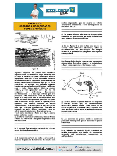 Material 20131023000808exercicioscordadopeixesanfibios Pdf Anfíbio Peixes