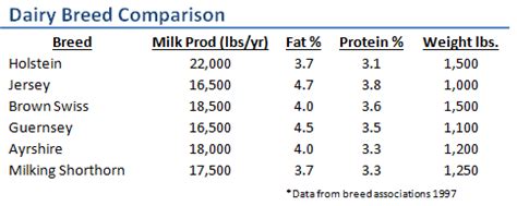 Breeds of Dairy Cattle | Dairy Moos