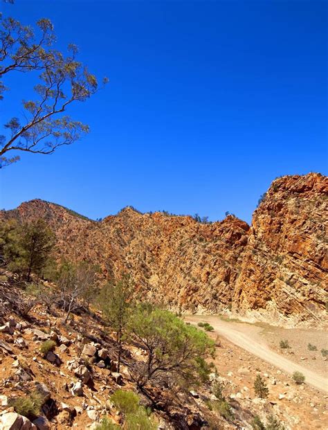 Flinders Ranges Guided Hiking Adventure | 57hours