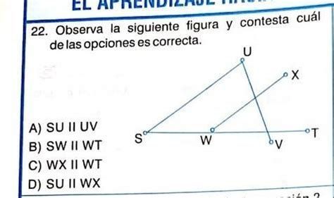 Observa La Siguiente Figura Y Contesta Cu L De Las Opciones Es La