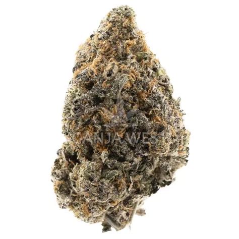 Dank Vader Craft Indica Ganja West Online Dispensary Shop In Canada