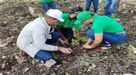 Medio Ambiente y Coopamiher realizan siembra de árboles en la Avenida