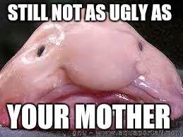 Blobfish Imgflip