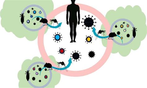 The Development And History Of Epidemiology Vinmec