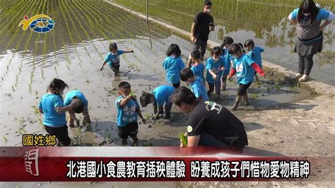 20230302 南投縣議會 民議新聞 北港國小食農教育插秧體驗 盼養成孩子們惜物愛物精神 Youtube