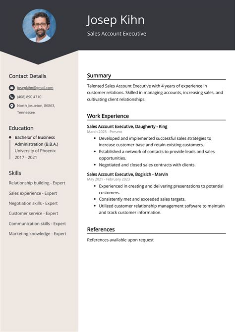 Sales Account Executive Cv Examples Template Tips