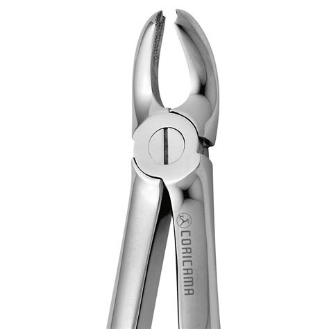 Tooth Forceps Pediatric N 39 A Coricama Since 1873