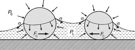 Schematic Presentation Of The Origin Of The Capillary Forces Between