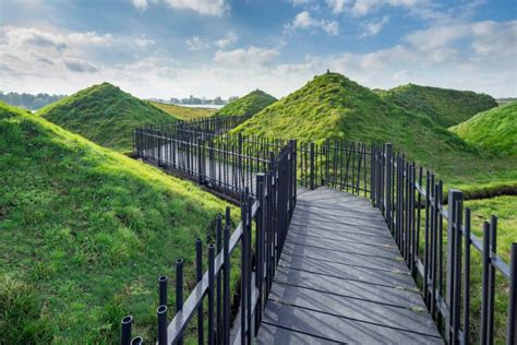 Nationaal Park De Biesbosch Best Travel Guide