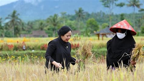 Minta Mafia Tanah Diberantas Puan Maharani Mereka Merampas