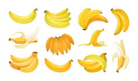 Whole And Sliced Banana Png Transparent Images Free Download Vector