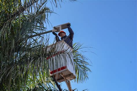 Plan de recambio de Luminarias leds Oberá