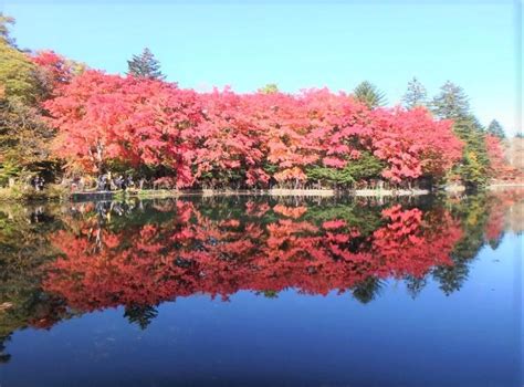 紅葉のピーク！軽井沢の雲場池 地球の歩き方