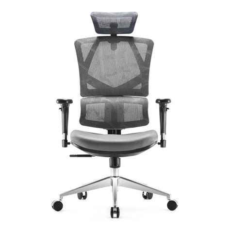 Buy SIHOO Ergonomic Office High Back Mesh Chair With Lumbar Support