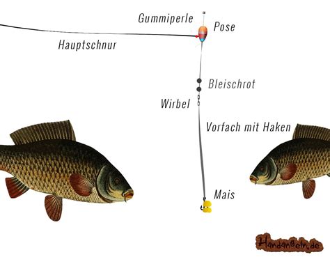 Posenmontage Top Hecht Forelle Karpfen Co Zum Posenangeln