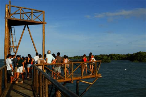 Rede Tucum uma história de colaboração e resistência Viajar Verde