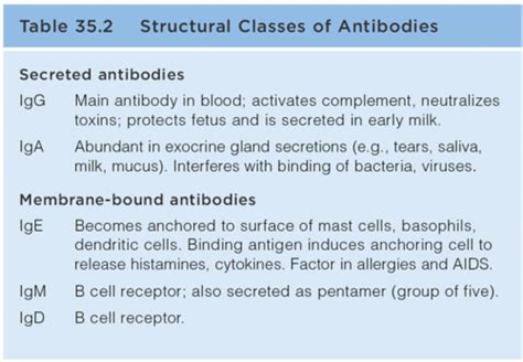 Adaptive Immunity Flashcards Quizlet