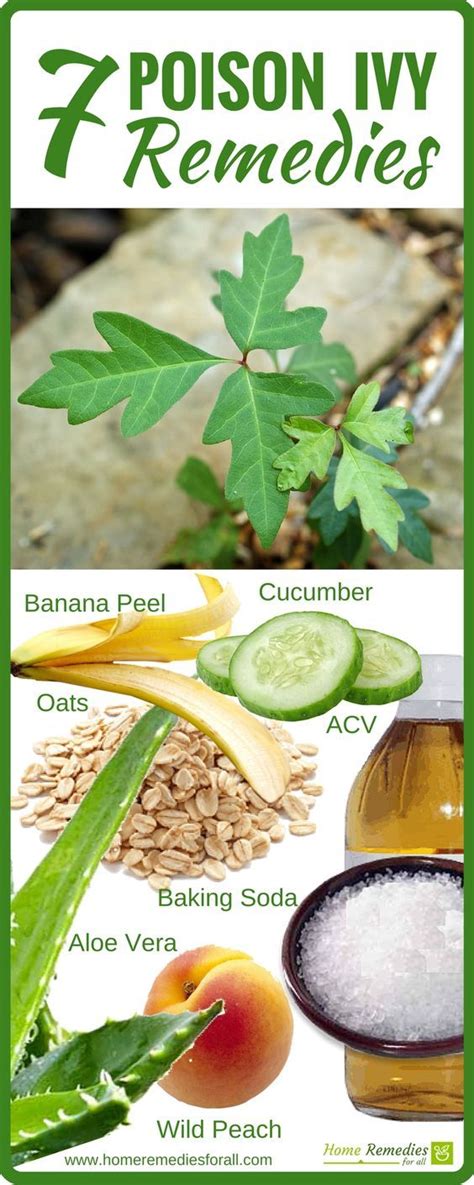 How To Heal Poison Ivy Poison Oak ~ Easy Health