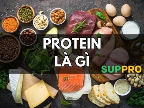 Protein đạm là gì Người tiểu đường bổ sung protein như nào