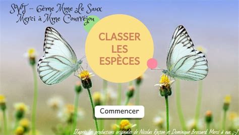 6ème Classer les êtres vivants