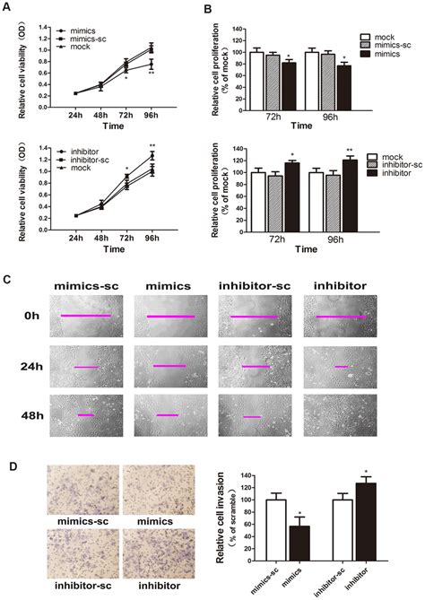 Mir 30c Regulates Cell Proliferation Migration And Invasion In Ec