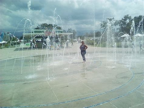 Parque Acuático Metropolitano Maracay Lo Que Se Debe Saber Antes De