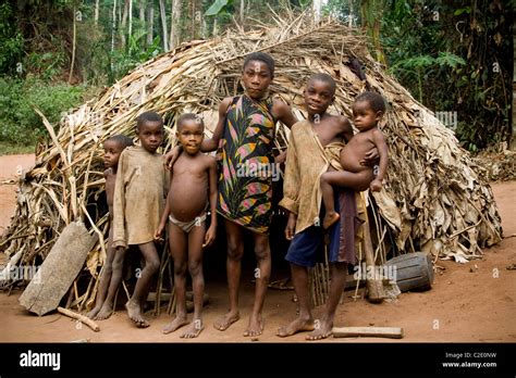 Pygmies In The Forestrepublic Of Congo Stock Photo Alamy