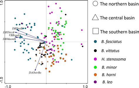 A Biplot Of Pca First Two Axes Based On Measurements Of Haptoral Download Scientific Diagram