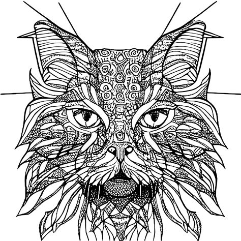 Maine Coon Cat Graphic · Creative Fabrica